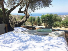 Andros Eco Lodge